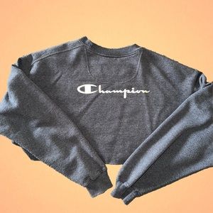 Champion Grey Crop Crew Neck Sweater